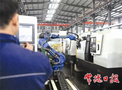 引金融活水，润产业之花——常德财政推动非融资性担保服务高质量发展