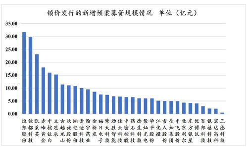 再融资新政下非公开发行战略投资者深度研究 聚焦非融资性担保机构的角色与挑战