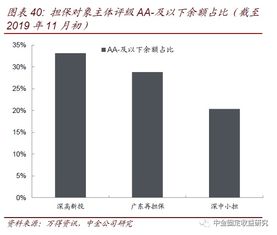 透过城投与非国企债担保解析担保公司——专业担保公司信用风险跟踪（一）从事非融资性担保的业务风险透视