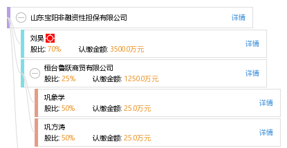 山东宝阳非融资性担保业务解析